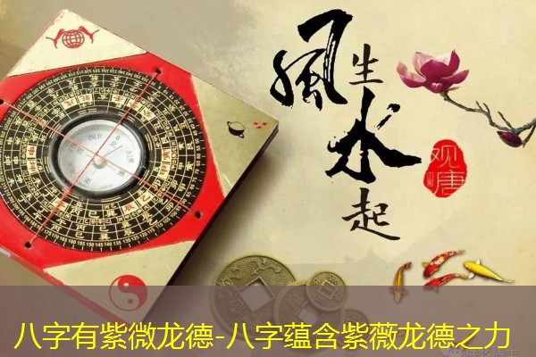  八字有紫微龙德-八字蕴含紫薇龙德之力