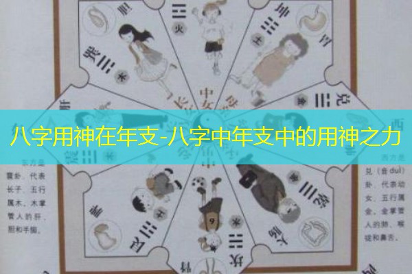  八字用神在年支-八字中年支中的用神之力