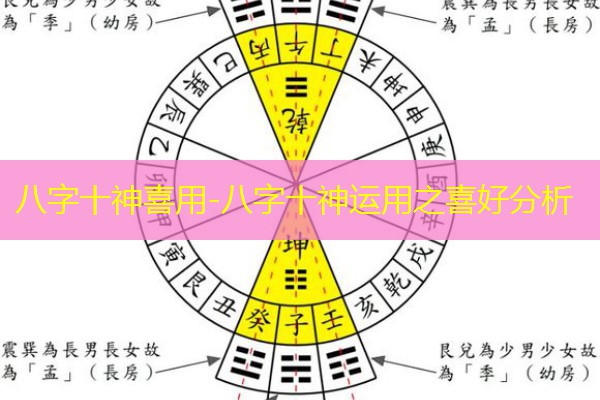  八字十神喜用-八字十神运用之喜好分析