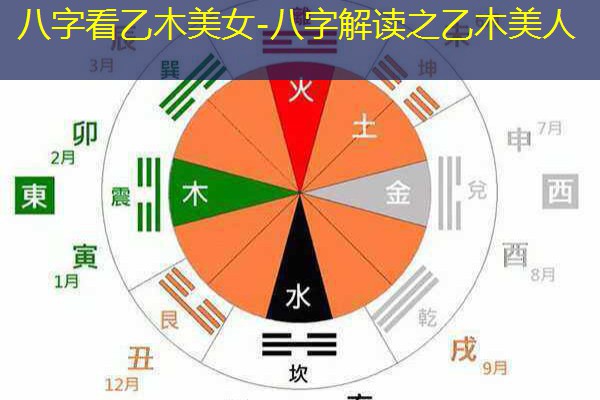  八字看乙木美女-八字解读之乙木美人