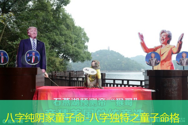  八字纯阴家童子命-八字独特之童子命格