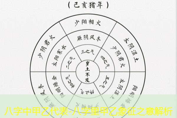  八字中甲乙代表-八字里甲乙象征之意解析