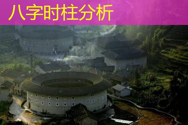  八字时柱分析