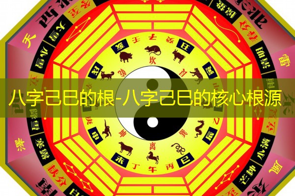  八字己巳的根-八字己巳的核心根源