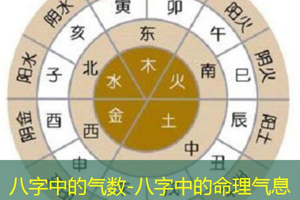  八字中的气数-八字中的命理气息