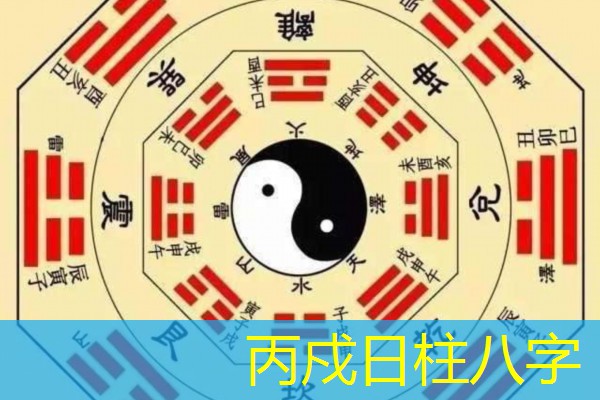  丙戍日柱八字