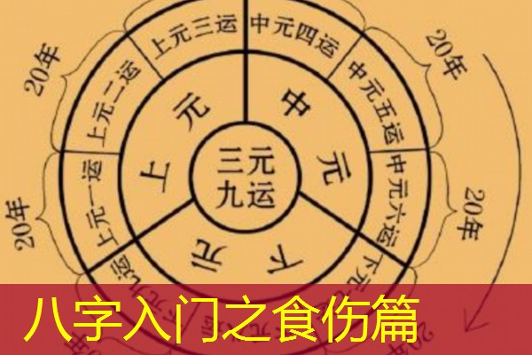  八字入门之食伤篇