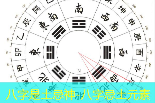  八字是土忌神-八字忌土元素