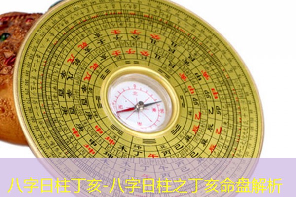  八字日柱丁亥-八字日柱之丁亥命盘解析