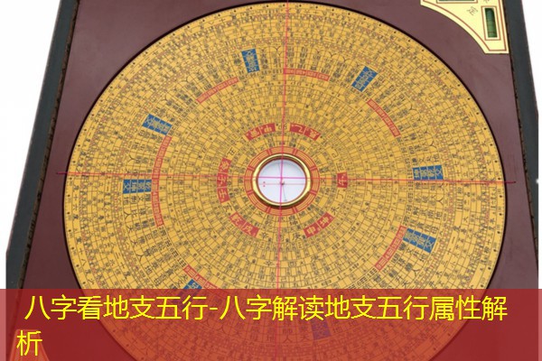  八字看地支五行-八字解读地支五行属性解析