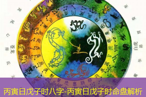  丙寅日戊子时八字-丙寅日戊子时命盘解析