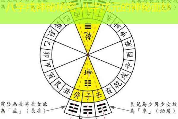  八字戌神秘秘密-八字戌元的神秘面纱