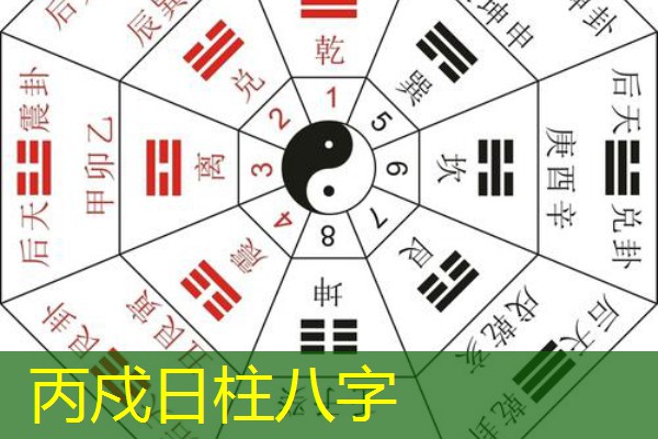  丙戍日柱八字