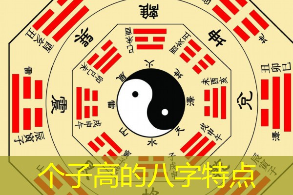  个子高的八字特点