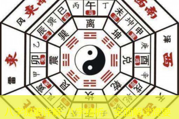 八字提要详解-八字精析：全面解读提要