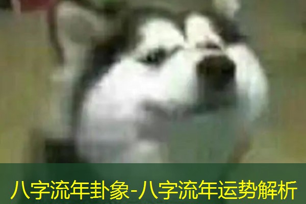  八字流年卦象-八字流年运势解析