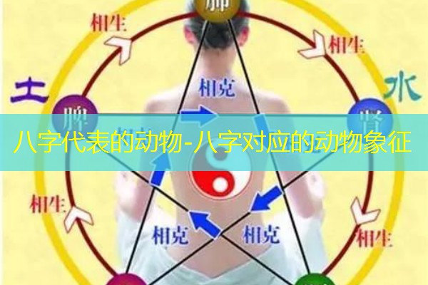  八字代表的动物-八字对应的动物象征