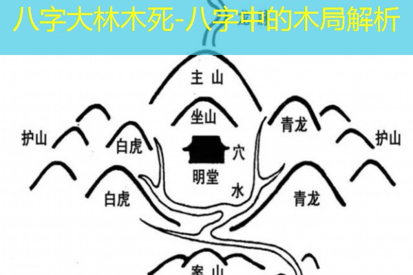  八字大林木死-八字中的木局解析