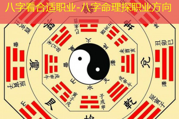  八字看合适职业-八字命理探职业方向
