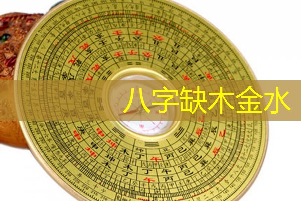  八字缺木金水