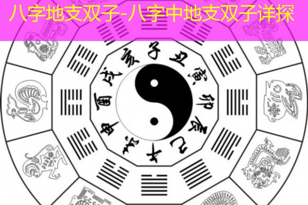  八字地支双子-八字中地支双子详探