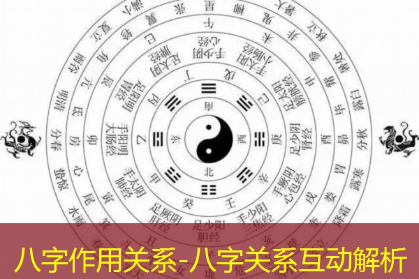  八字作用关系-八字关系互动解析