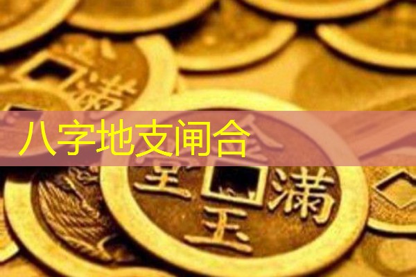  八字地支闸合