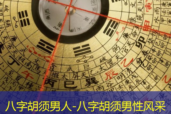  八字胡须男人-八字胡须男性风采