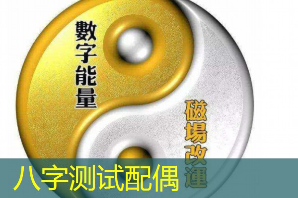  八字测试配偶