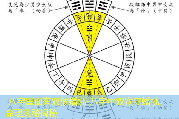  八字里面有双猴蟠桃-八字中双猴守蟠桃，命理奥秘揭秘