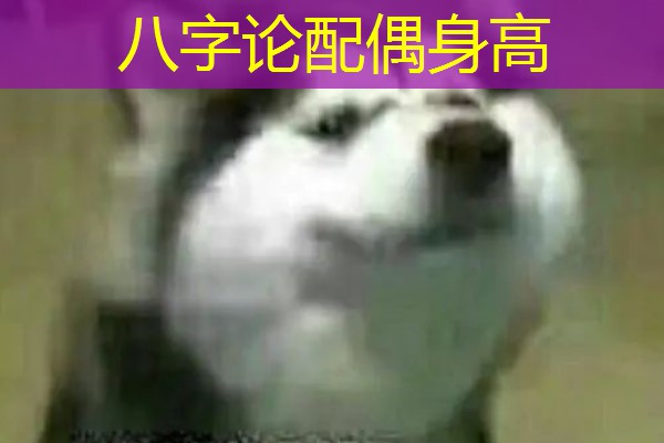  八字论配偶身高