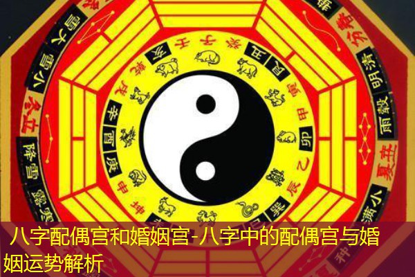  八字配偶宫和婚姻宫-八字中的配偶宫与婚姻运势解析