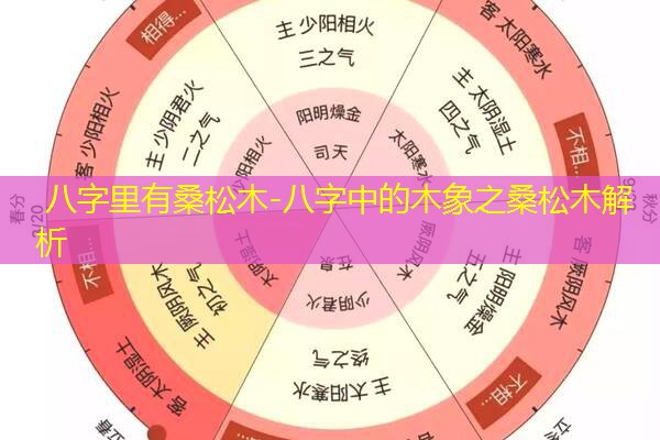  八字里有桑松木-八字中的木象之桑松木解析