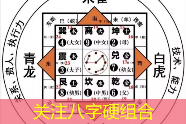  关注八字硬组合