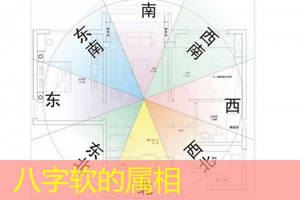  八字软的属相