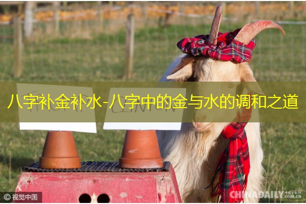  八字补金补水-八字中的金与水的调和之道