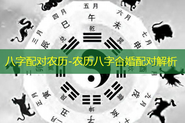  八字配对农历-农历八字合婚配对解析