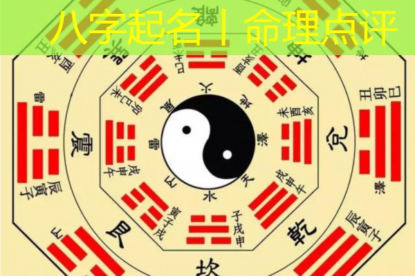  八字起名丨命理点评