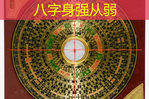  八字身强从弱