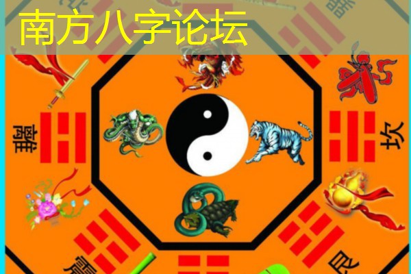  南方八字论坛