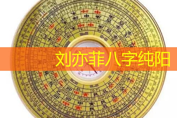  刘亦菲八字纯阳