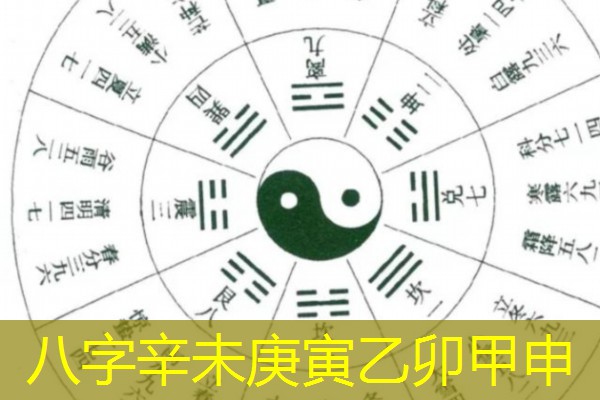  八字辛未庚寅乙卯甲申