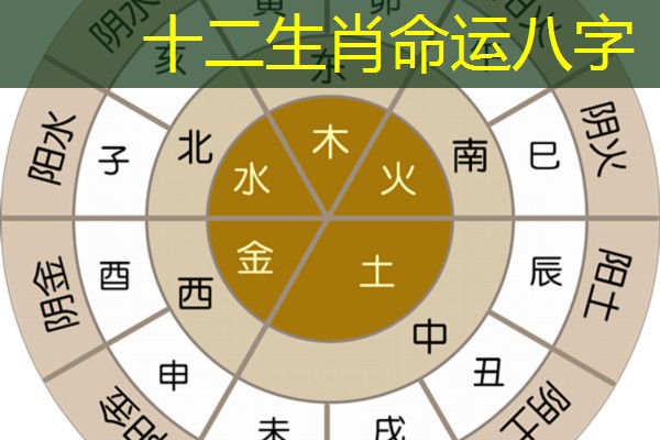  十二生肖命运八字