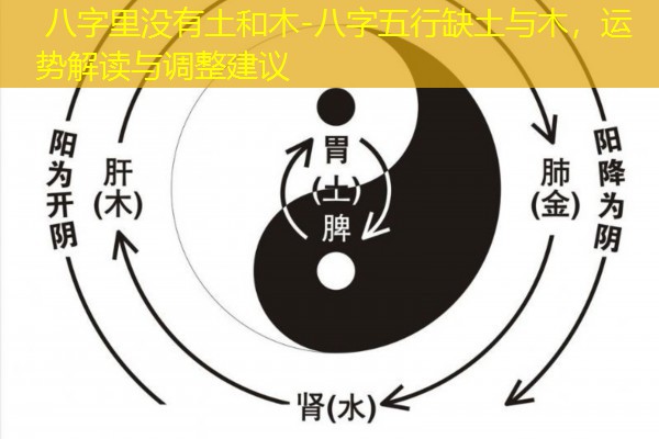  八字里没有土和木-八字五行缺土与木，运势解读与调整建议