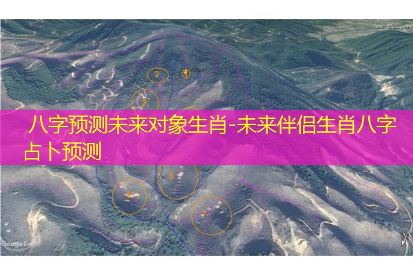 八字预测未来对象生肖-未来伴侣生肖八字占卜预测
