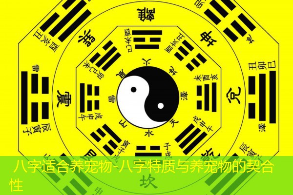  八字适合养宠物-八字特质与养宠物的契合性